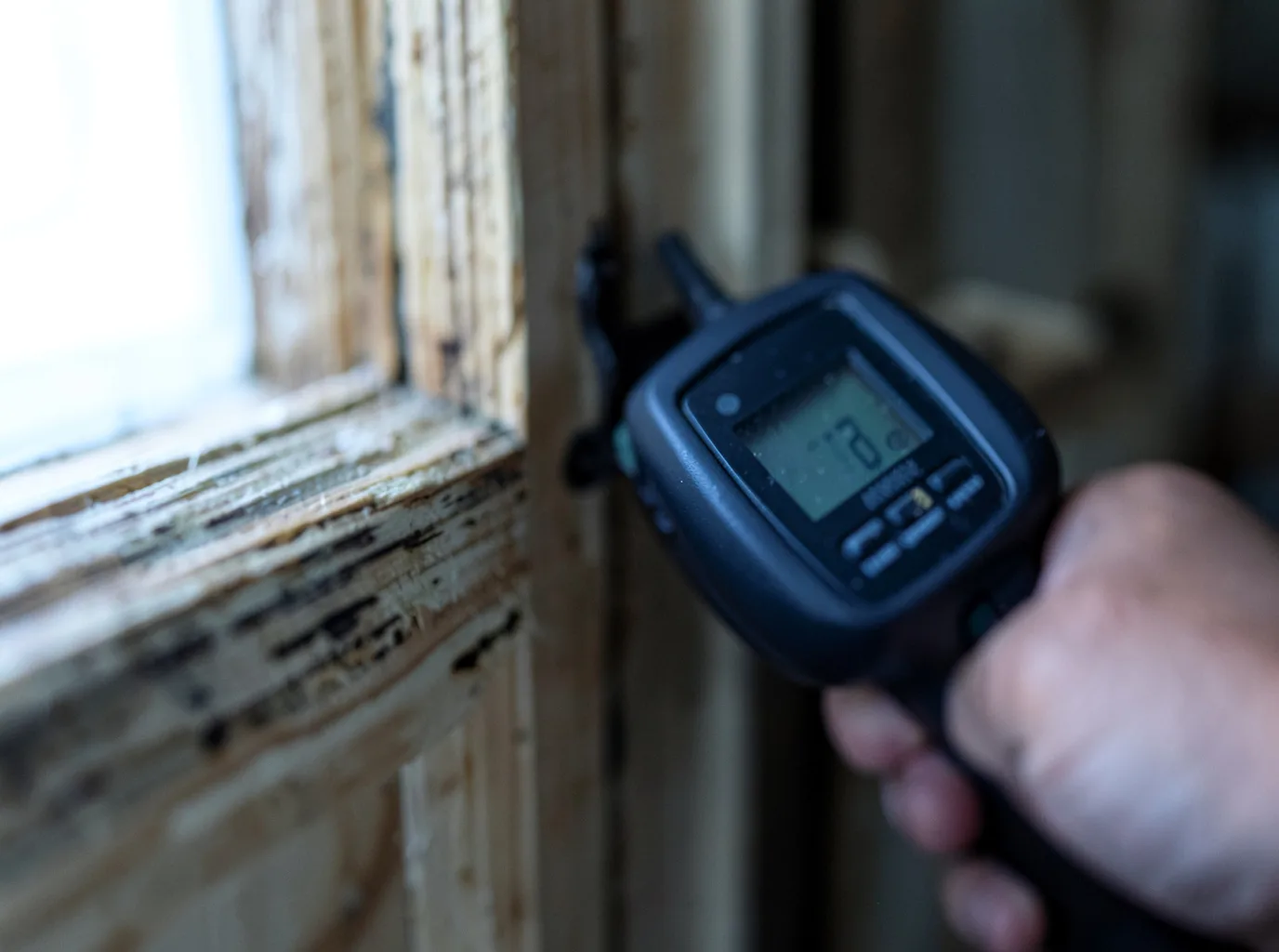 Moisture Inspection And Documentation in Rogers, AR
